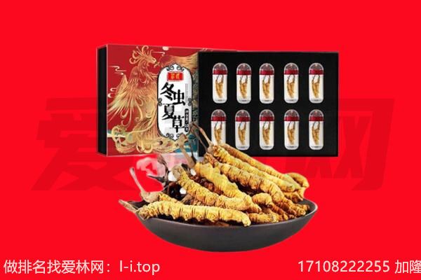 龙川县回收虫草.jpg